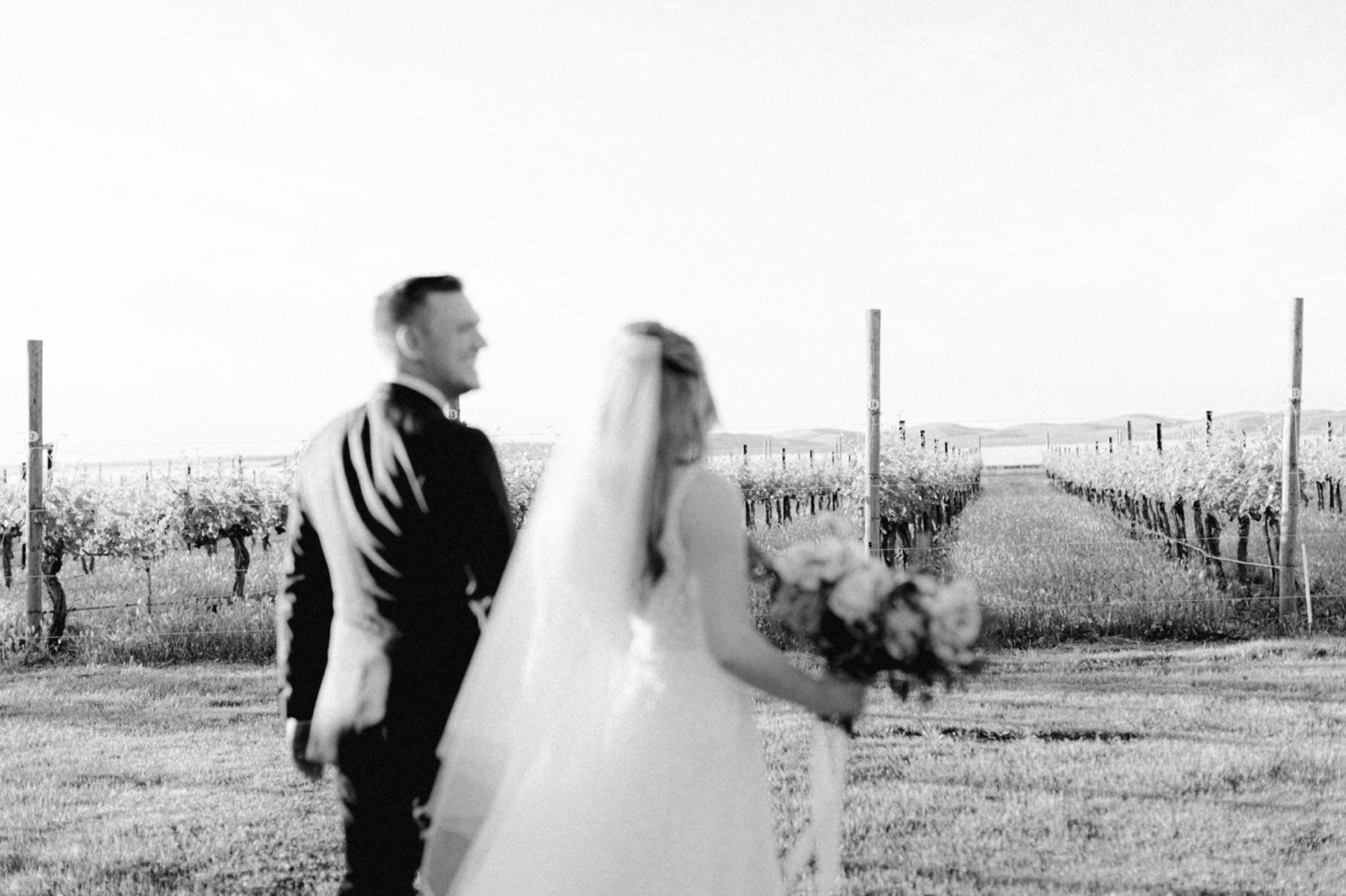 Bride and Groom portraits for Abeja Winery Wedding