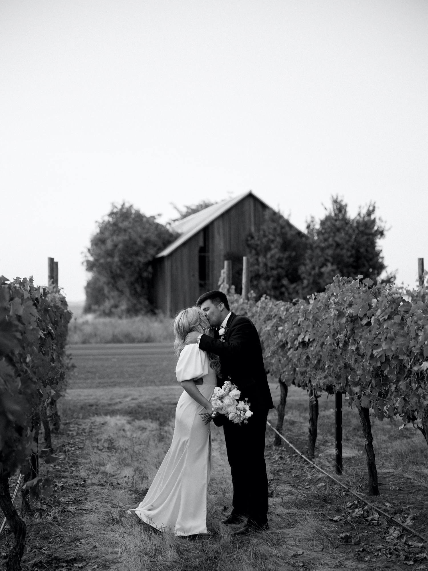 bride and groom share a kiss in the vineyards at abeja winery